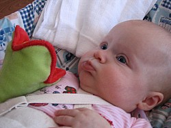 3.5.2007 12-27-48_0019