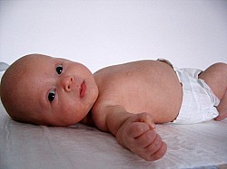 30.1.2007-15-56-40_0044