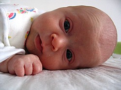 05.01.2007-14-37-05_0016