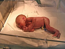 08.12.2006 17-59-18_0011