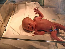 08.12.2006 17-59-20_0013