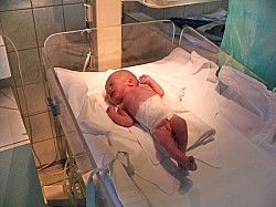 08.12.2006 17-59-20_0014