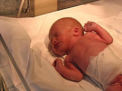 08.12.2006 17-59-21_0015