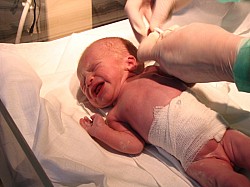 08.12.2006 17-59-21_0016