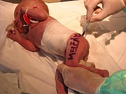 08.12.2006 17-59-23_0018