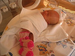 08.12.2006 17-59-26_0023