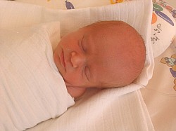 08.12.2006 17-59-31_0030