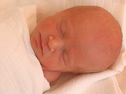 08.12.2006 17-59-32_0031