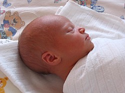 08.12.2006 17-59-36_0037