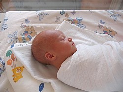 08.12.2006 17-59-37_0039