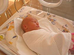 08.12.2006 17-59-39_0041