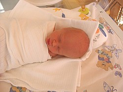 08.12.2006 17-59-41_0044