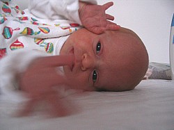 26.12.2006-11-23-29_0082