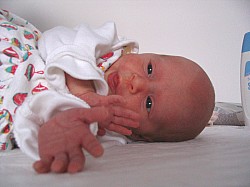 26.12.2006-11-23-33_0085