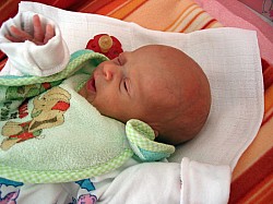 26.12.2006-11-23-43_0096