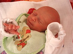 26.12.2006-11-23-44_0097