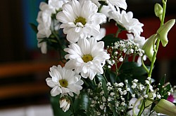 4.3.2008 16-36-42_0017