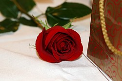 4.3.2008 16-39-09_0051