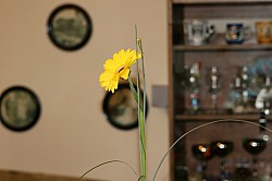 4.3.2008 16-41-53_0090