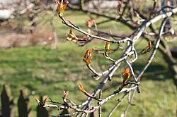 16.3.2008 11-45-22_0025